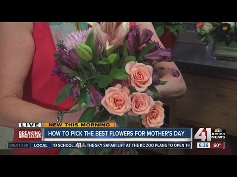 The Method To Make Your Cut Tulips Last Longer
